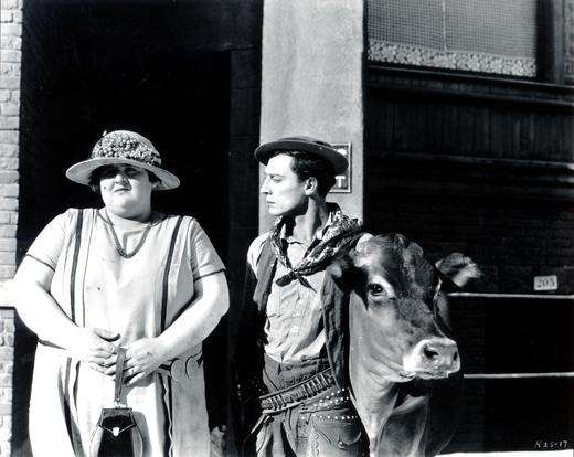 Ma Vache et Moi